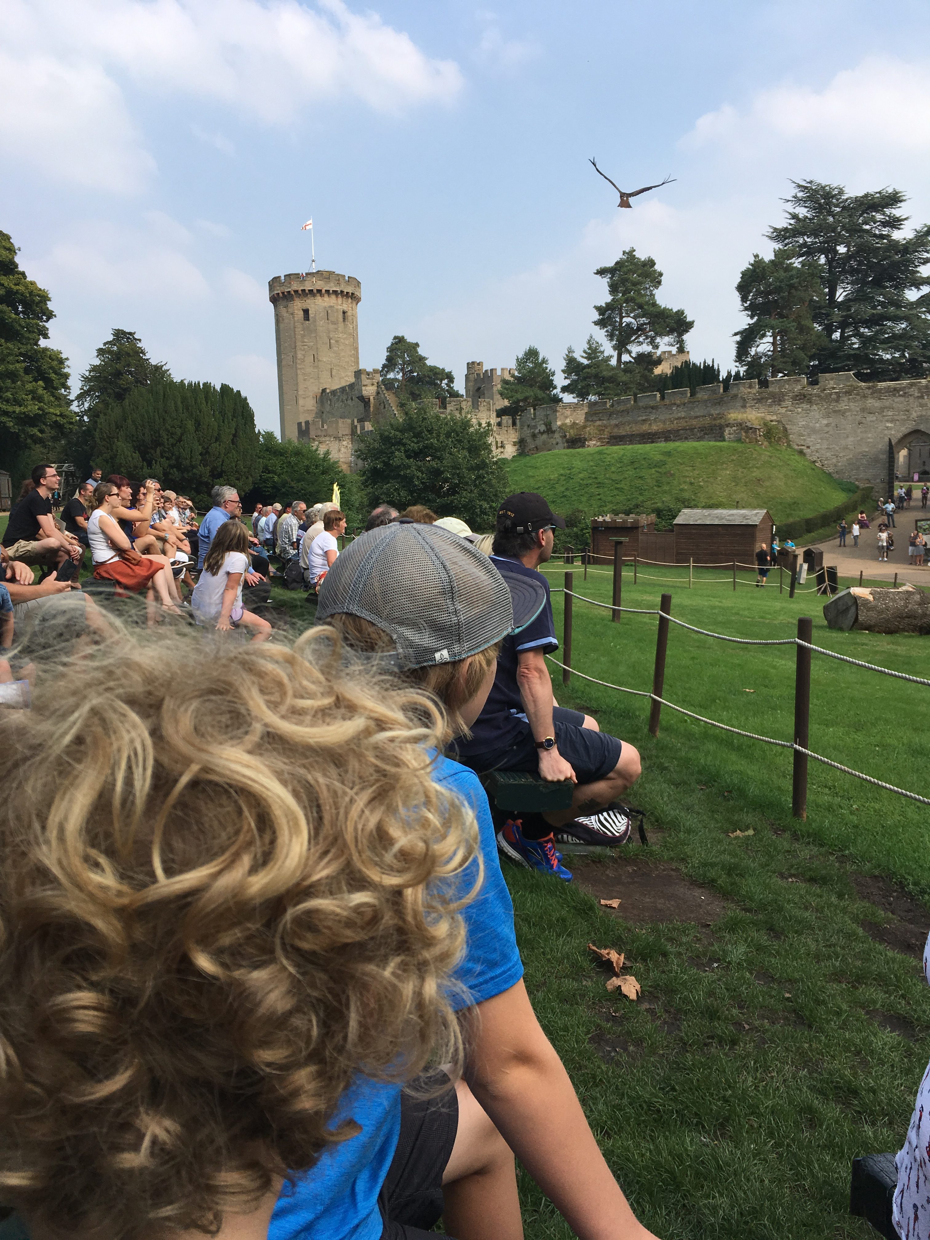 Birds of Prey at Warwick Castle